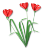 Shonna Heart Flower Image